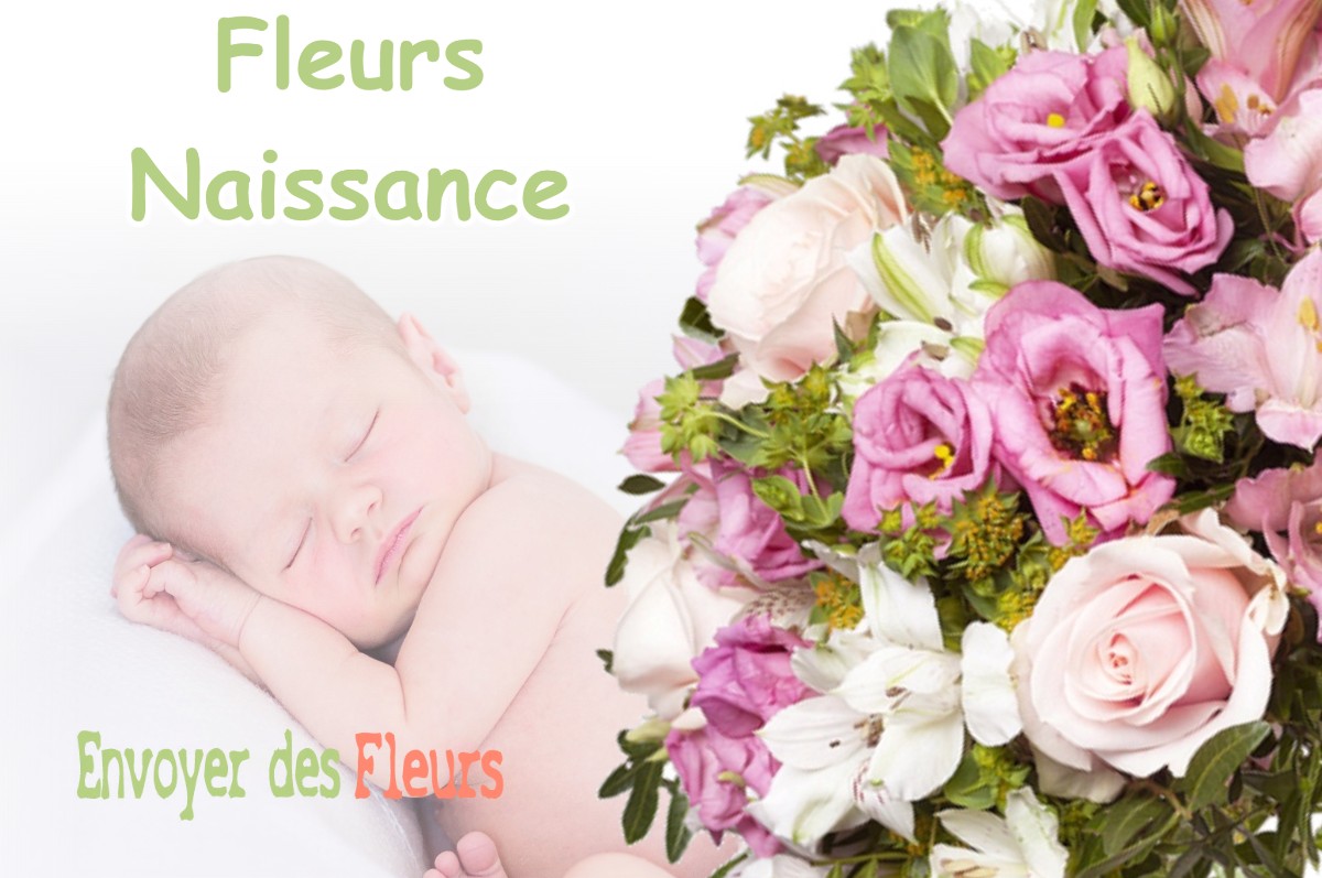 lIVRAISON FLEURS NAISSANCE à LA-MORTE